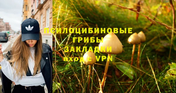 амфетамин Арсеньев