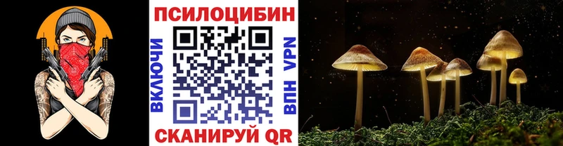 Псилоцибиновые грибы Psilocybine cubensis  гидра рабочий сайт  Новочеркасск 